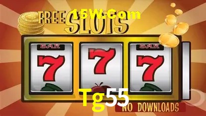 Experiência VIP Tg55